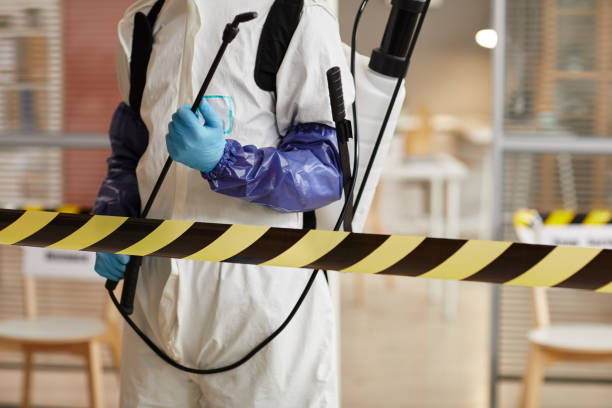 Professional Sewage Cleanup technician working in Glennville, CA